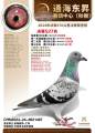 图片暂时未上传