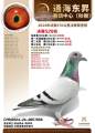 图片暂时未上传