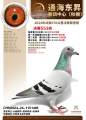 图片暂时未上传