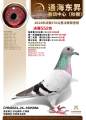 图片暂时未上传