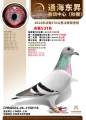 图片暂时未上传