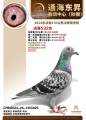图片暂时未上传