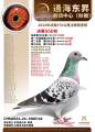 图片暂时未上传