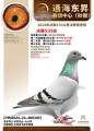 图片暂时未上传