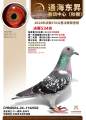 图片暂时未上传