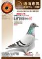图片暂时未上传