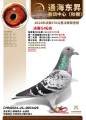 图片暂时未上传