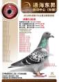 图片暂时未上传