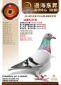 图片暂时未上传