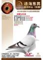 图片暂时未上传