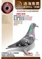 图片暂时未上传