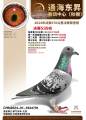 图片暂时未上传