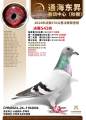 图片暂时未上传