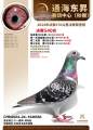 图片暂时未上传