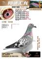 图片暂时未上传
