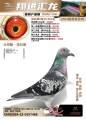 图片暂时未上传