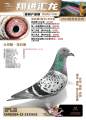 图片暂时未上传