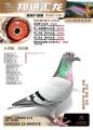 图片暂时未上传