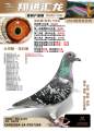 图片暂时未上传