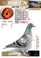 图片暂时未上传