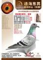 图片暂时未上传
