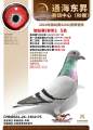 图片暂时未上传