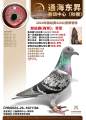 图片暂时未上传