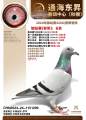 图片暂时未上传