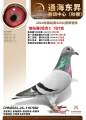 图片暂时未上传