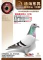 图片暂时未上传