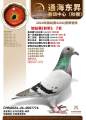 图片暂时未上传