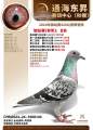 图片暂时未上传