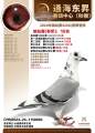 图片暂时未上传