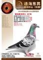 图片暂时未上传