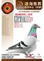 图片暂时未上传