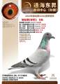 图片暂时未上传