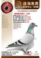 图片暂时未上传