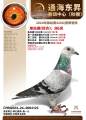 图片暂时未上传