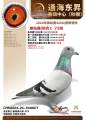 图片暂时未上传