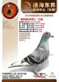 图片暂时未上传