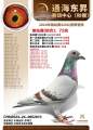 图片暂时未上传