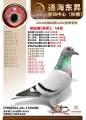 图片暂时未上传