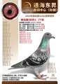 图片暂时未上传