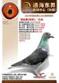 图片暂时未上传