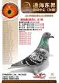 图片暂时未上传
