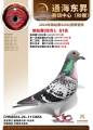 图片暂时未上传