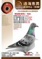 图片暂时未上传