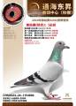 图片暂时未上传