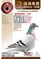 图片暂时未上传