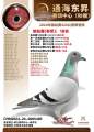 图片暂时未上传
